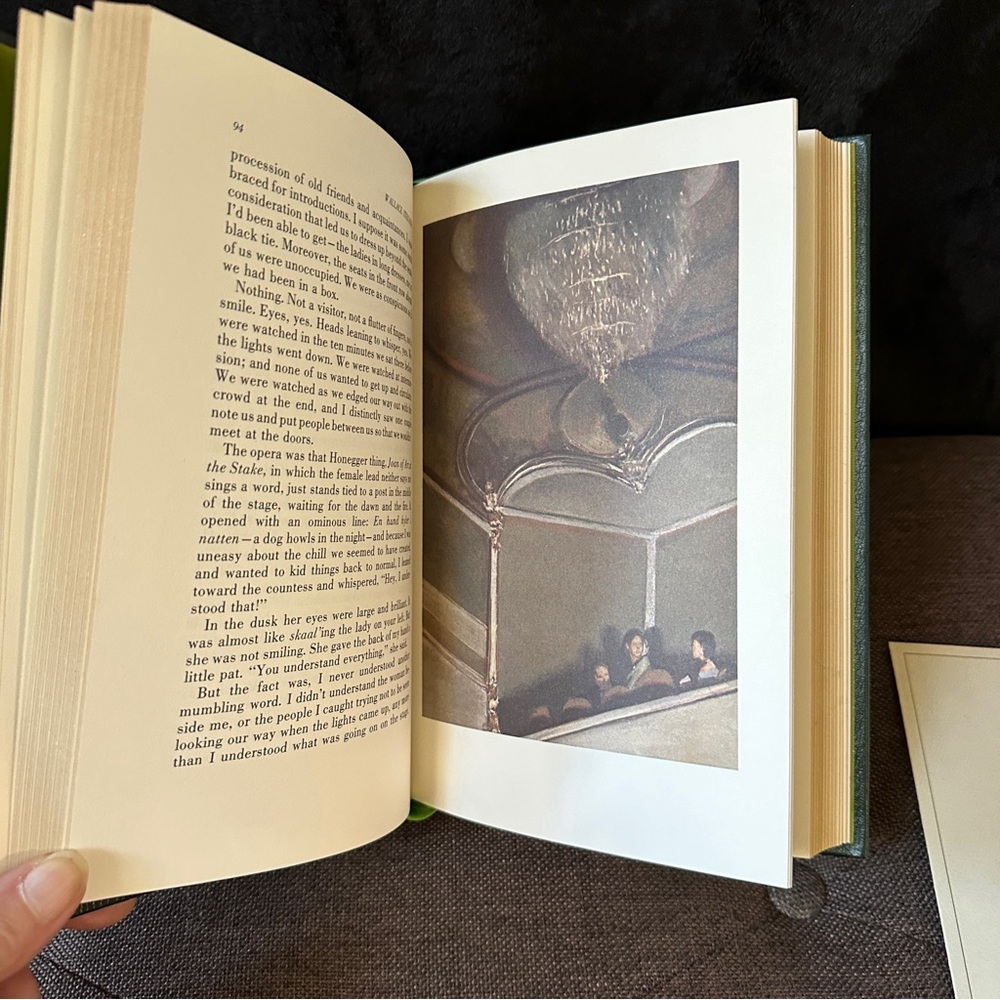 The Spectator Bird | Limited First Edition - Picture 11 of 14